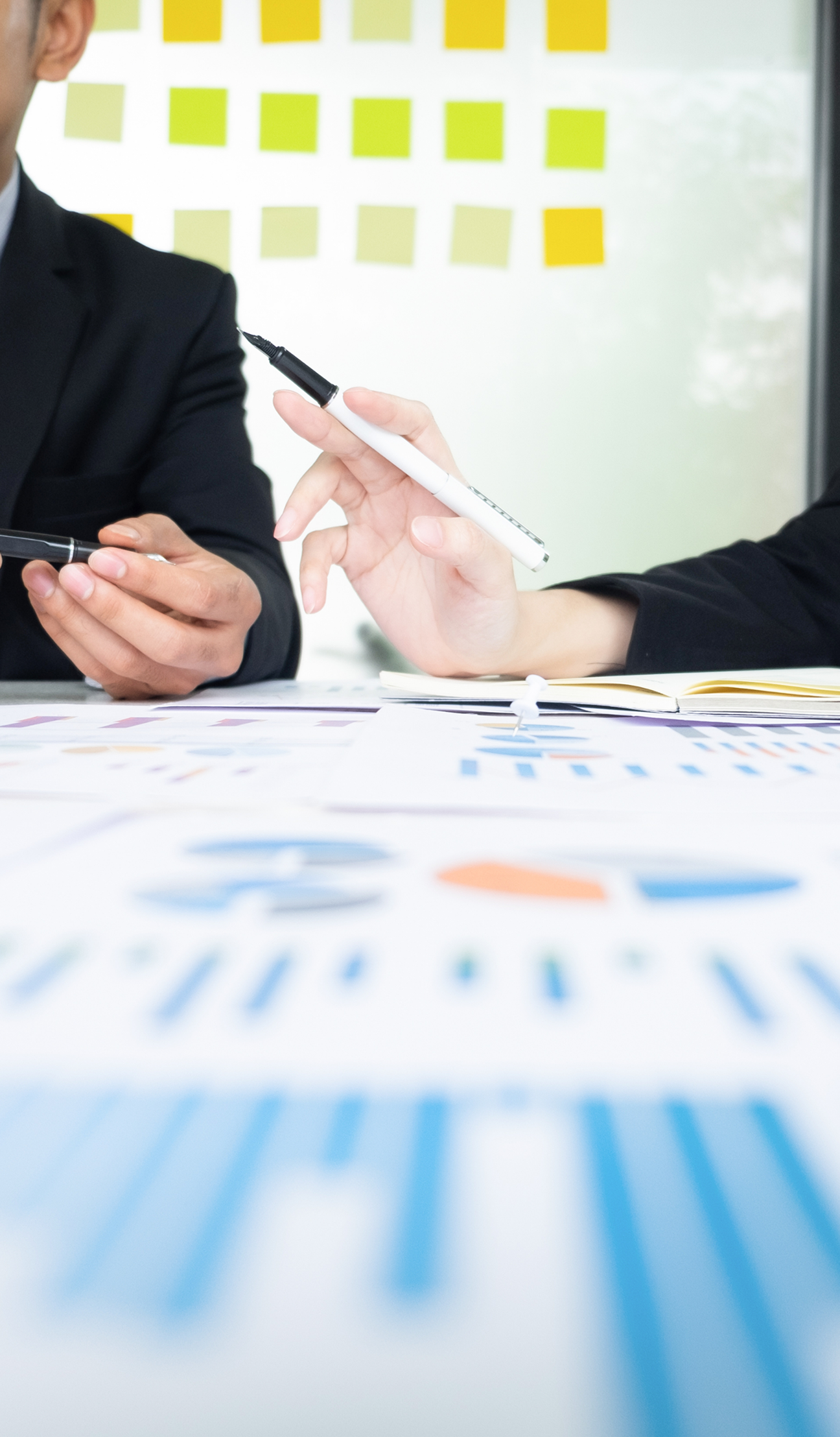 投資およびそれに関するコンサルティング業務